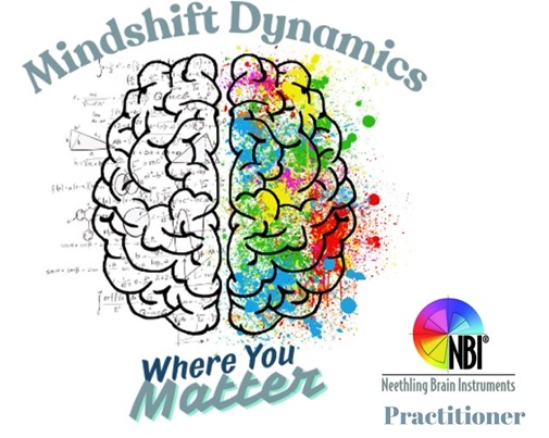 Mindshift Dynamics Logo